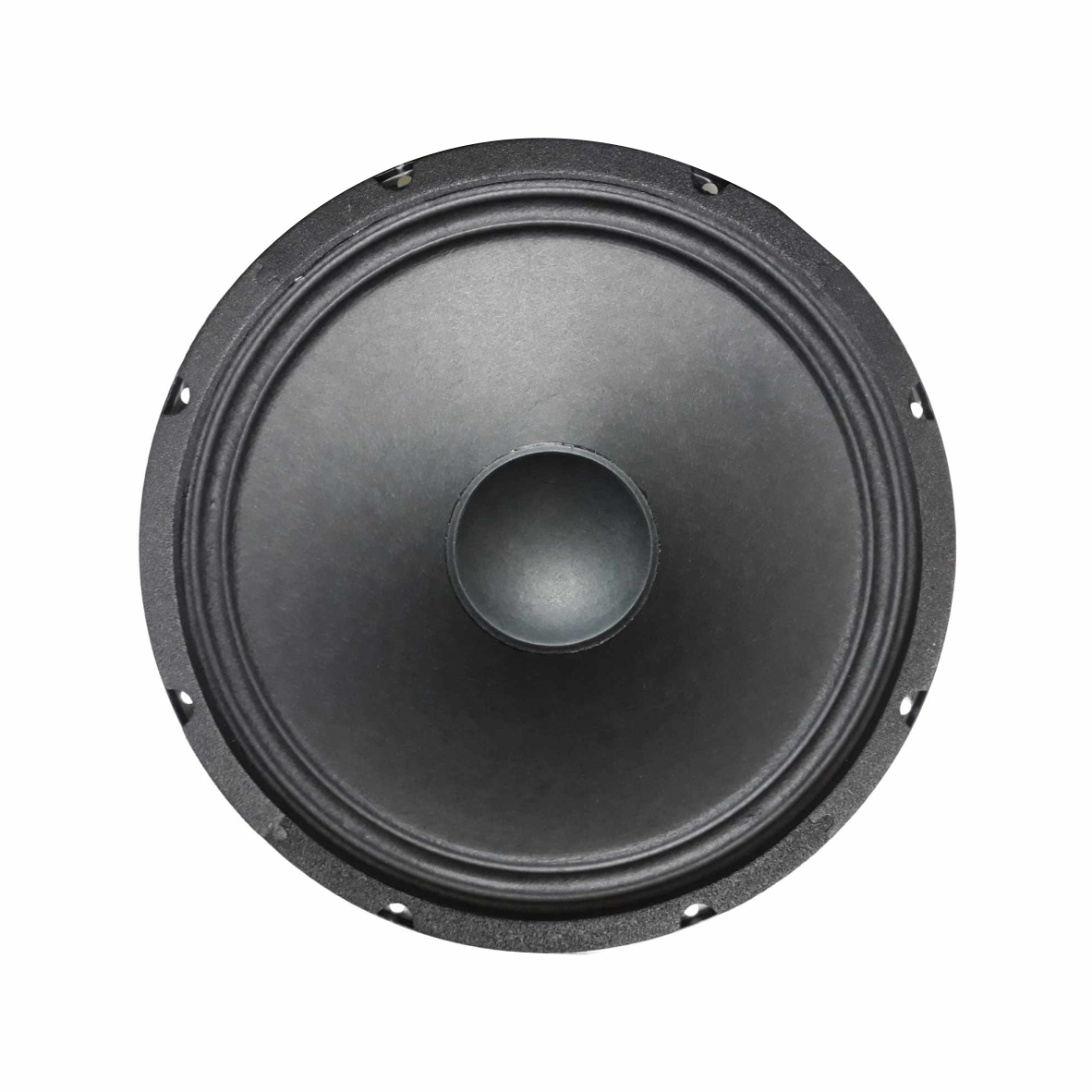 DANSHENG Speaker 10'' 4 ohm 120Watt dual voice coil.